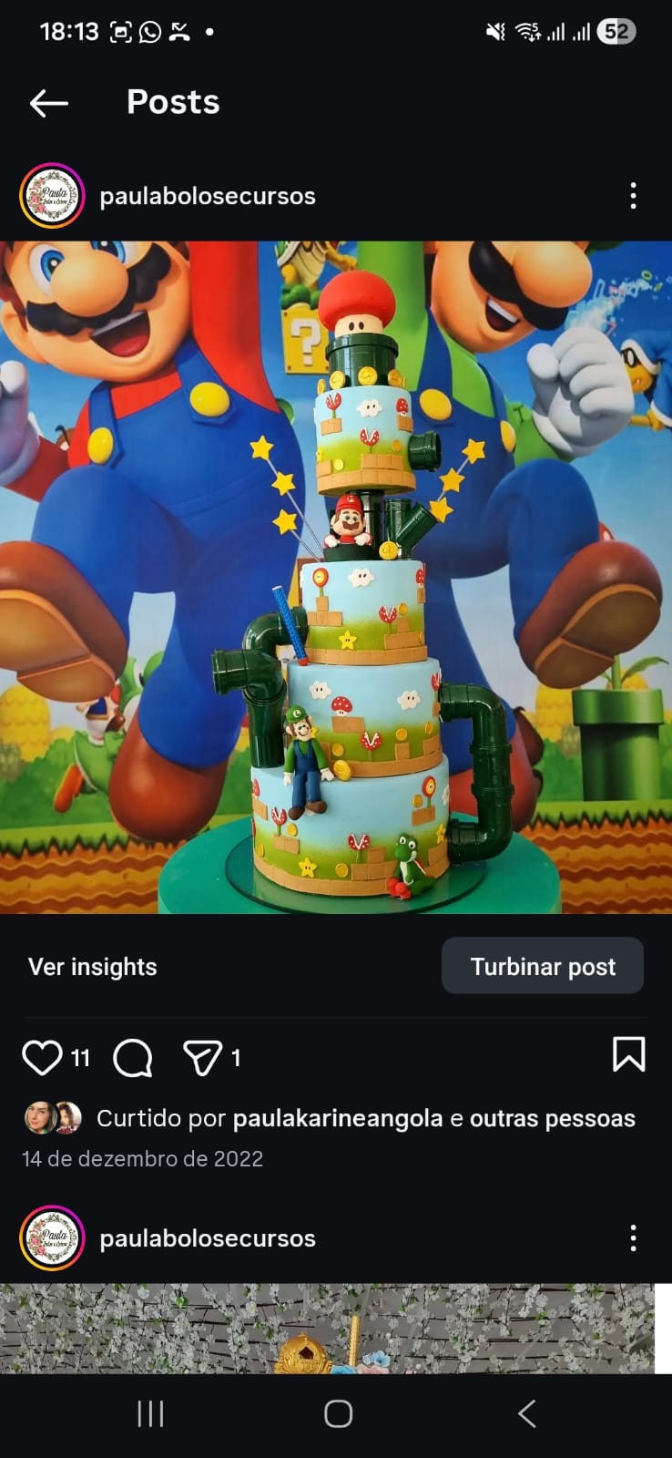 Mario bros canos