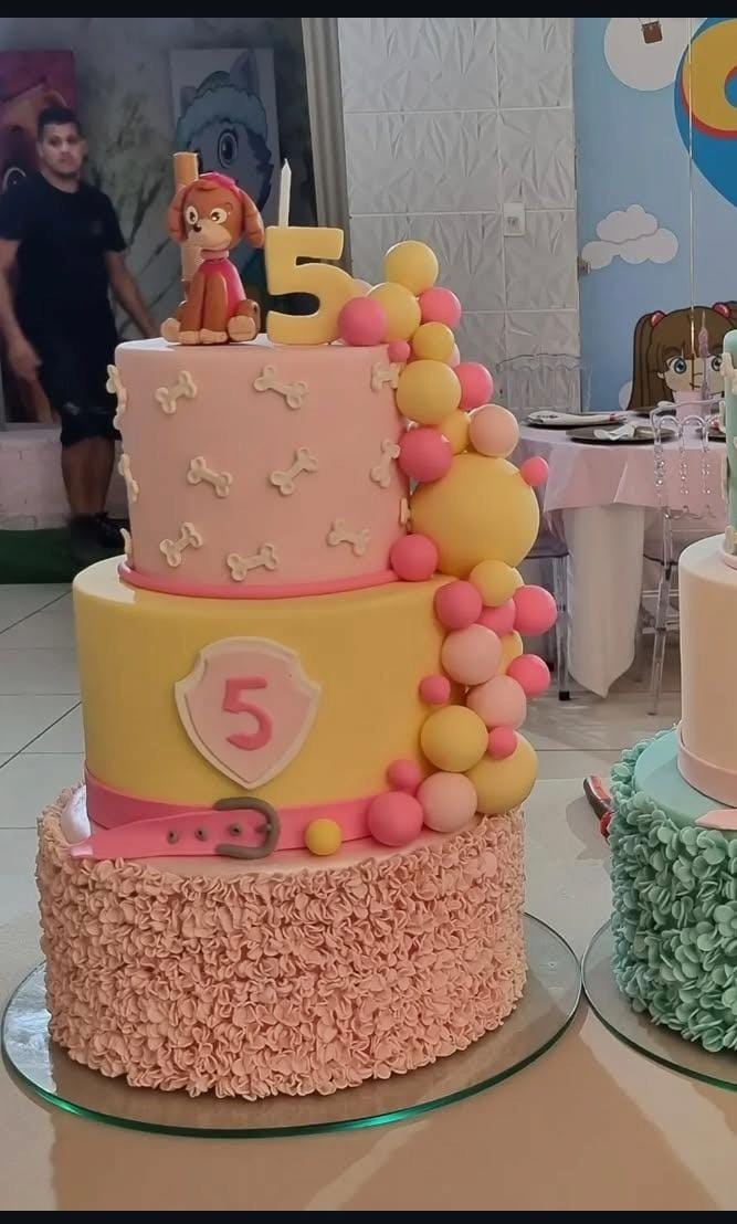 Patrulha canina rosa amarelo