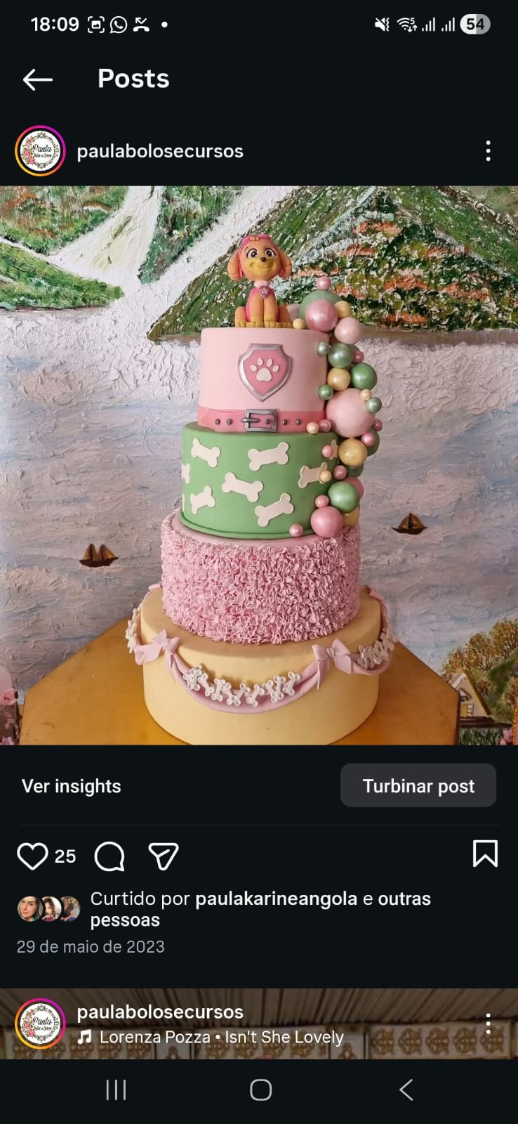 Patrulha canina ossinho