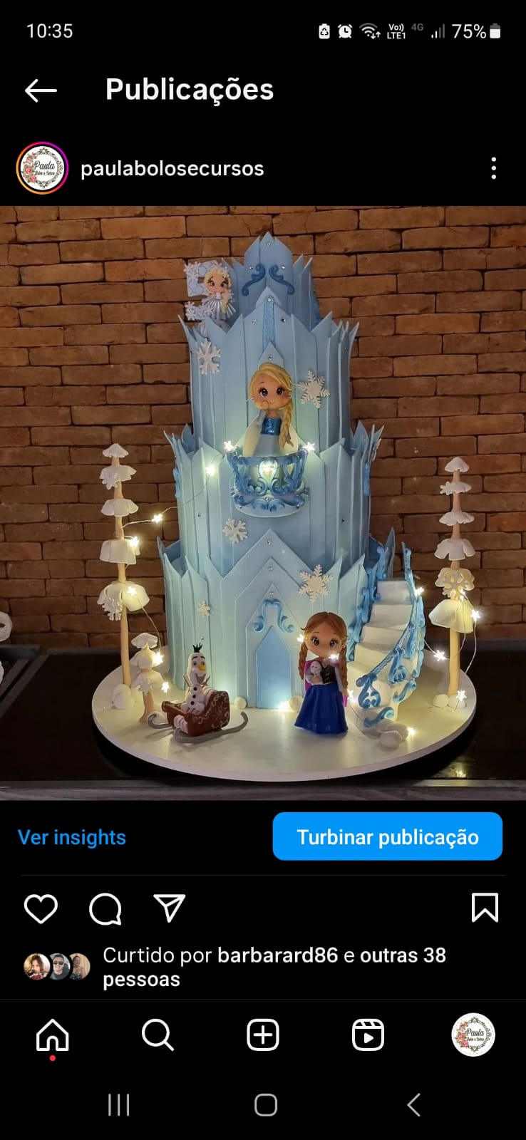 Frozen Castelo