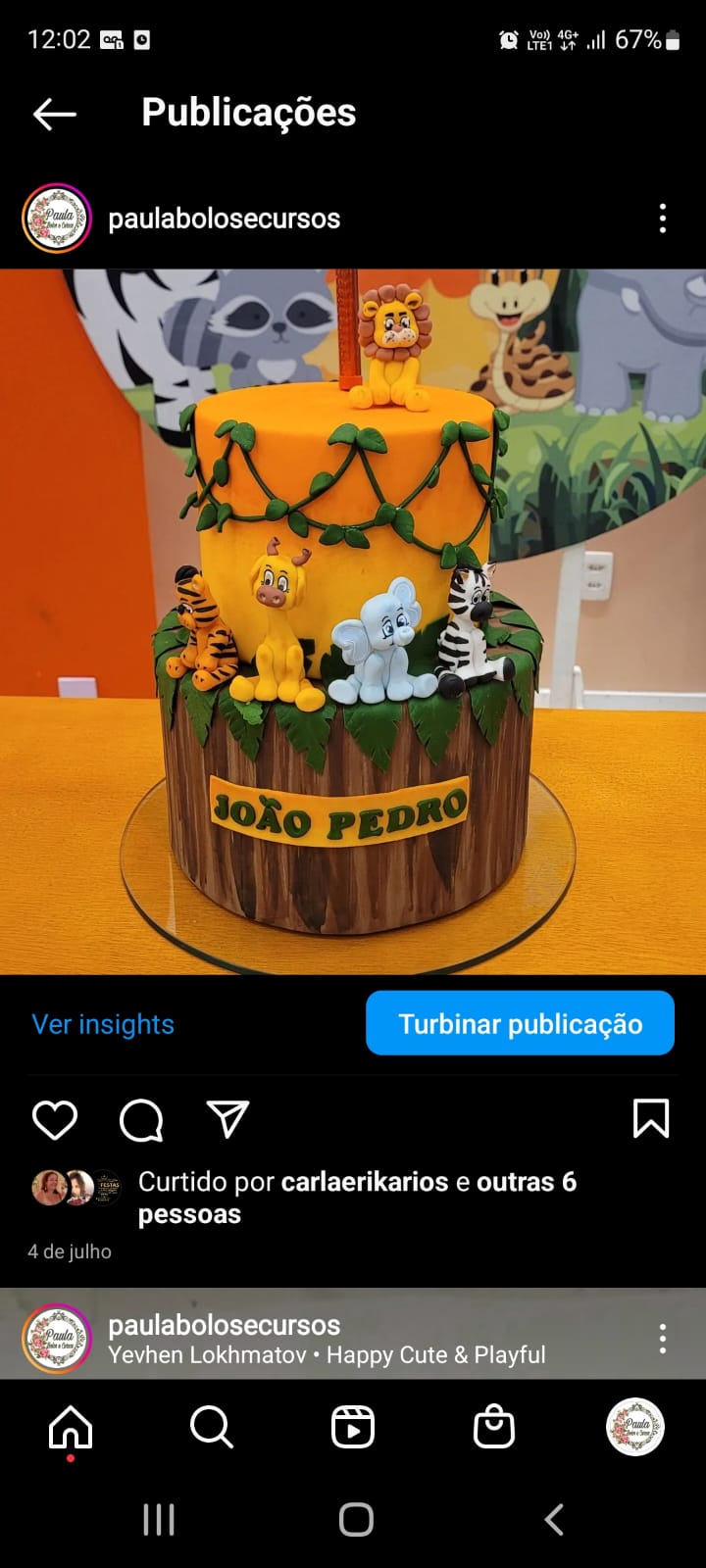 Safari animais