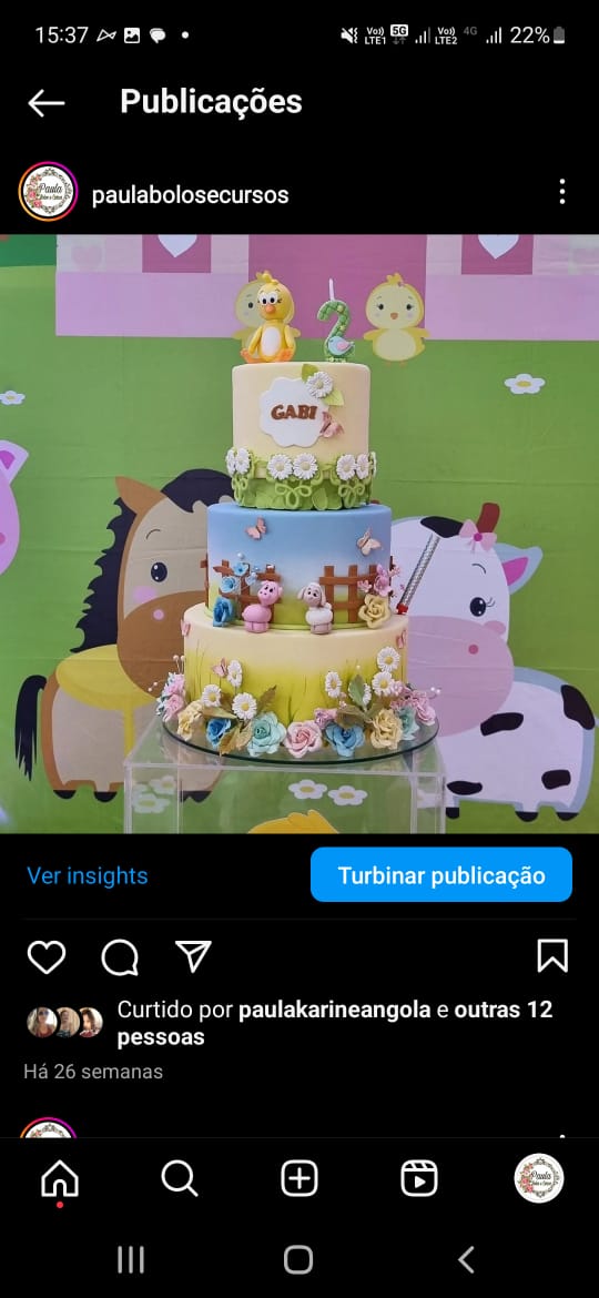 Fazendinha margarida
