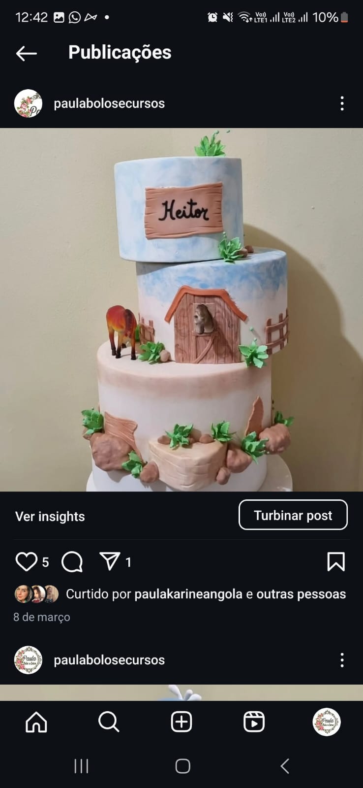 Fazendinha cowboy