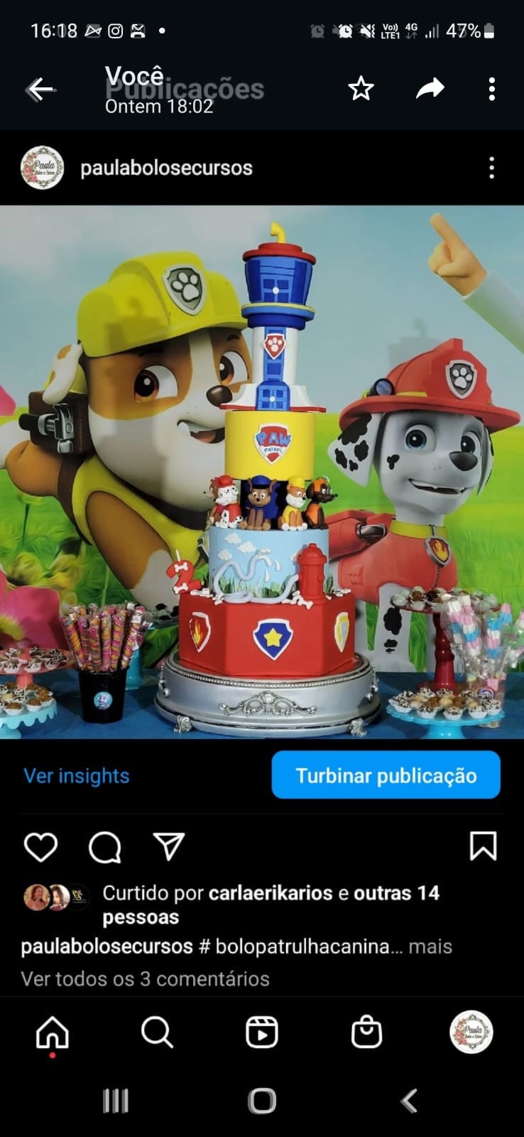 Patrulha canina sextavado